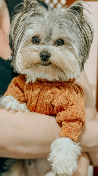 Winter Warm Knitted Turtleneck Sweater for Small Dogs or Cats - Furr Baby Gifts