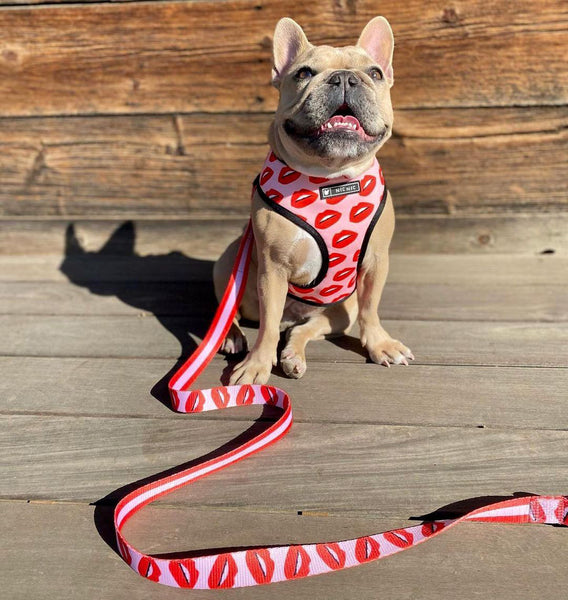Luxury Red Lips Breathable Mesh Harness Chest Back + Traction - Furr Baby Gifts