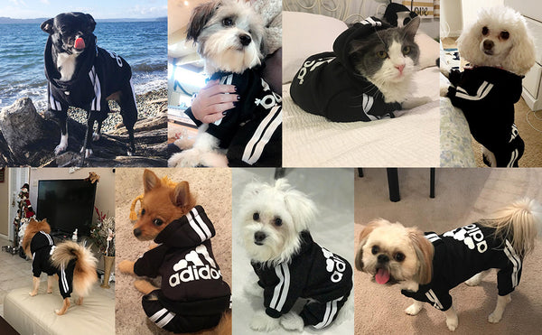 Pet Dog Jumpsuit for Small Medium Dogs - Furr Baby Gifts