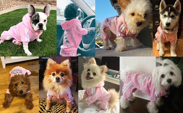 Pet Dog Jumpsuit for Small Medium Dogs - Furr Baby Gifts