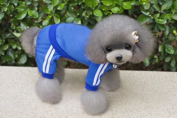 Pet Dog Jumpsuit for Small Medium Dogs - Furr Baby Gifts