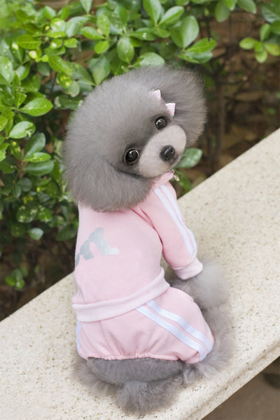 Pet Dog Jumpsuit for Small Medium Dogs - Furr Baby Gifts