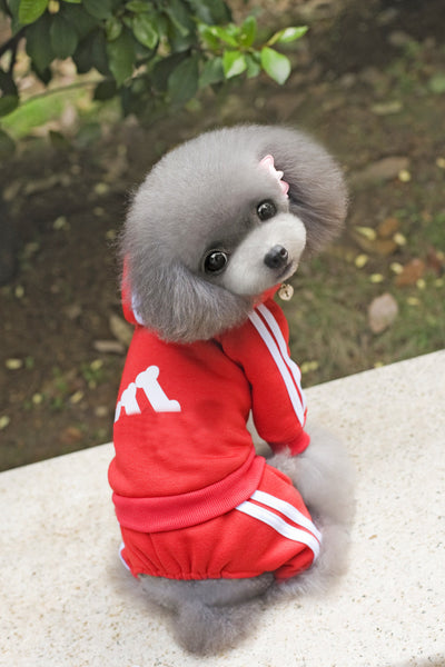 Pet Dog Jumpsuit for Small Medium Dogs - Furr Baby Gifts