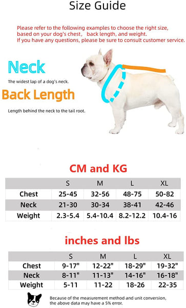 Luxury Red Lips Breathable Mesh Harness Chest Back + Traction - Furr Baby Gifts