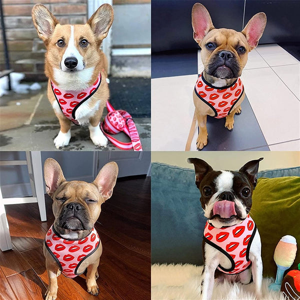Luxury Red Lips Breathable Mesh Harness Chest Back + Traction - Furr Baby Gifts