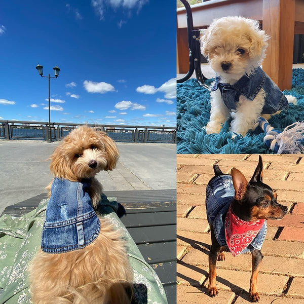 Pet Dog Cat Blue Denim Jeans Jacket Coat Vest - Furr Baby Gifts