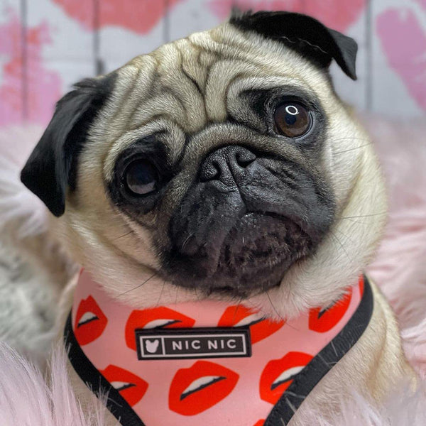 Luxury Red Lips Breathable Mesh Harness Chest Back + Traction - Furr Baby Gifts
