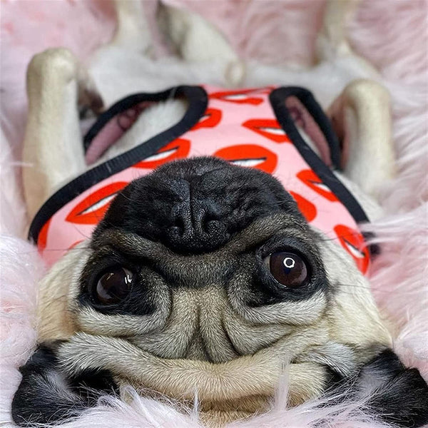 Luxury Red Lips Breathable Mesh Harness Chest Back + Traction - Furr Baby Gifts