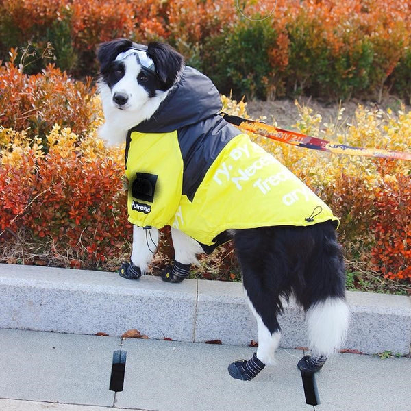 The Dog Face Windproof Waterproof Reflective Pet Cat Dog Jacket - Furr Baby Gifts