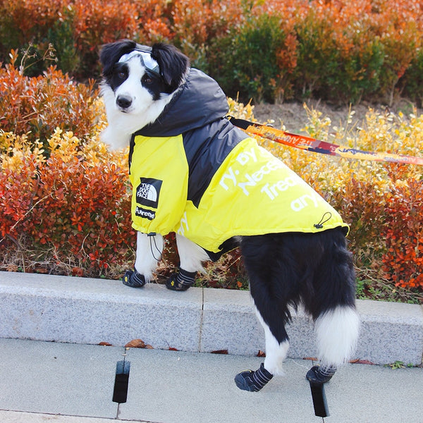 The Dog Face Windproof Waterproof Reflective Pet Cat Dog Jacket - Furr Baby Gifts