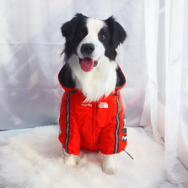 The Dog Face Windproof Waterproof Reflective Pet Cat Dog Jacket - Furr Baby Gifts