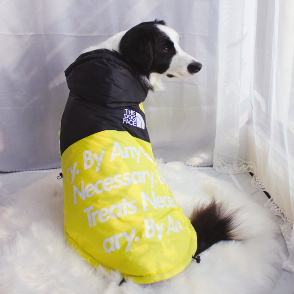 The Dog Face Windproof Waterproof Reflective Pet Cat Dog Jacket - Furr Baby Gifts