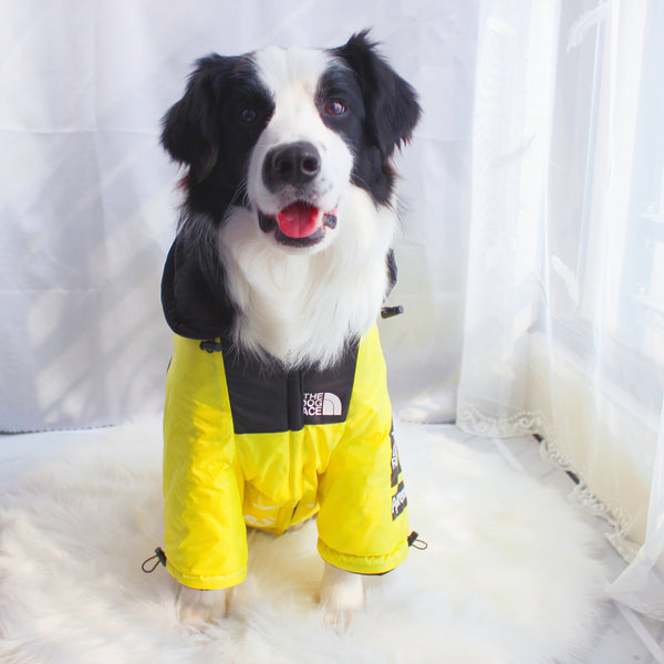 The Dog Face Windproof Waterproof Reflective Pet Cat Dog Jacket - Furr Baby Gifts