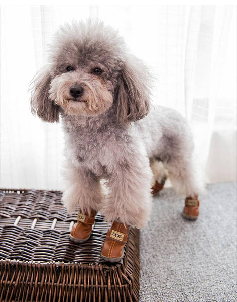 Dog Australia Waterproof Fleece-Lined Warm Dog Snow Boots - Furr Baby Gifts