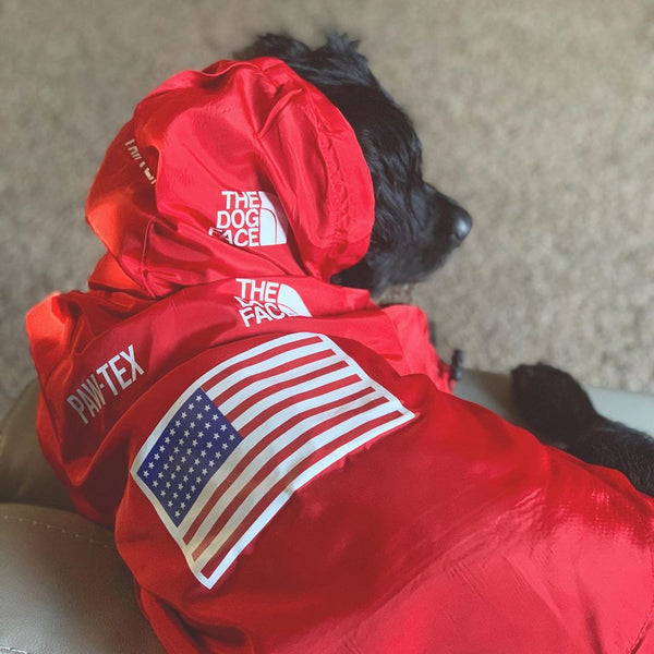 The Dog Face Windproof Waterproof Reflective Pet Cat Dog Jacket - Furr Baby Gifts