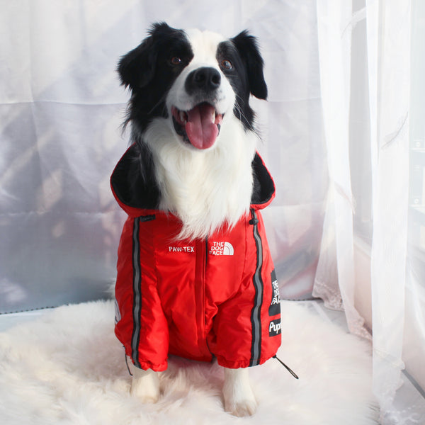 The Dog Face Windproof Waterproof Reflective Pet Cat Dog Jacket - Furr Baby Gifts