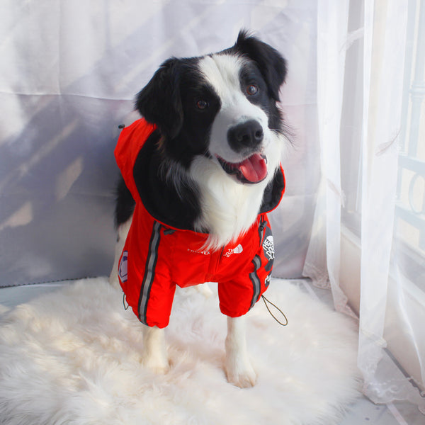 The Dog Face Windproof Waterproof Reflective Pet Cat Dog Jacket - Furr Baby Gifts