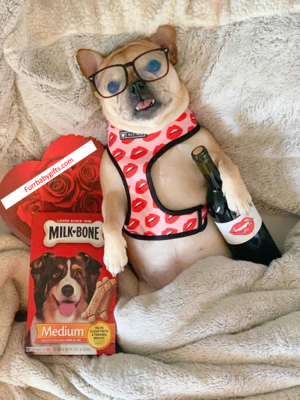 Luxury Red Lips Breathable Mesh Harness Chest Back + Traction - Furr Baby Gifts