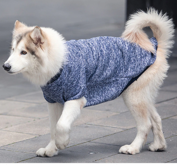 3XL-9XL Winter Warm Pet Sweater - Furr Baby Gifts