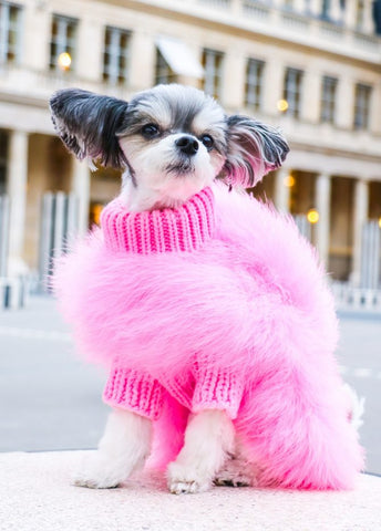 Haute Couture Feathered Luxury Pet Sweater - Furr Baby Gifts