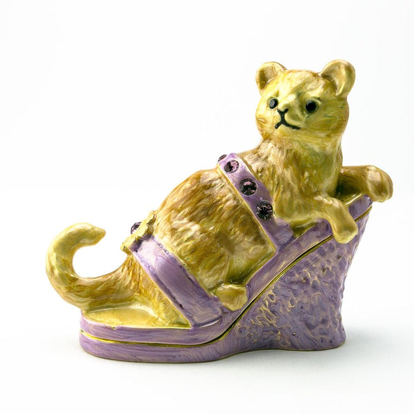 Cat sitting on an Evening Shoe - Furr Baby Gifts