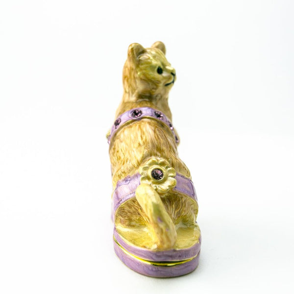 Cat sitting on an Evening Shoe - Furr Baby Gifts