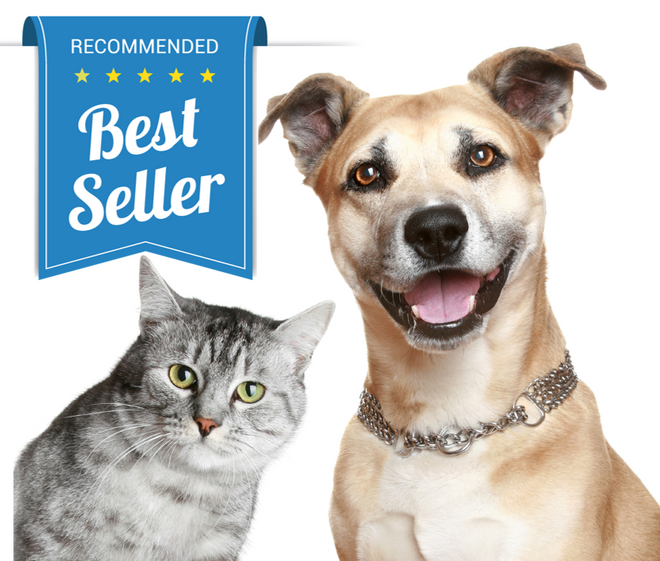 Best Sellers