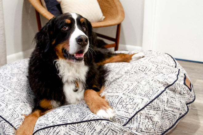 Furniture &amp; Bedding