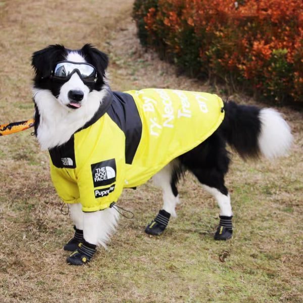 The Dog Face Windproof Waterproof Reflective Pet Cat Dog Jacket - Furr Baby Gifts