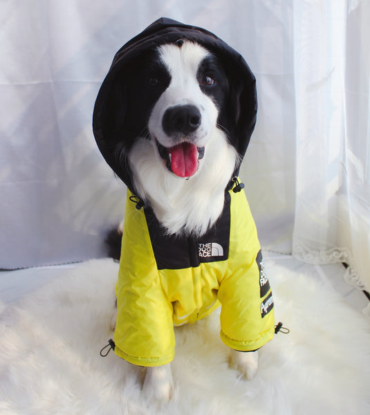 The Dog Face Windproof Waterproof Reflective Pet Cat Dog Jacket - Furr Baby Gifts