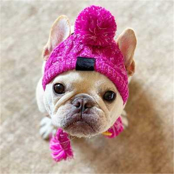 Autumn Winter Warm Knitted Pet Hats With Fluffy Ball - Furr Baby Gifts