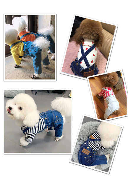 Denim Jumpsuit for Small Pets - Furr Baby Gifts