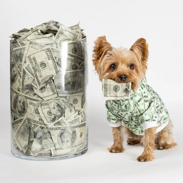 Money Print Dog Hoodie - Furr Baby Gifts