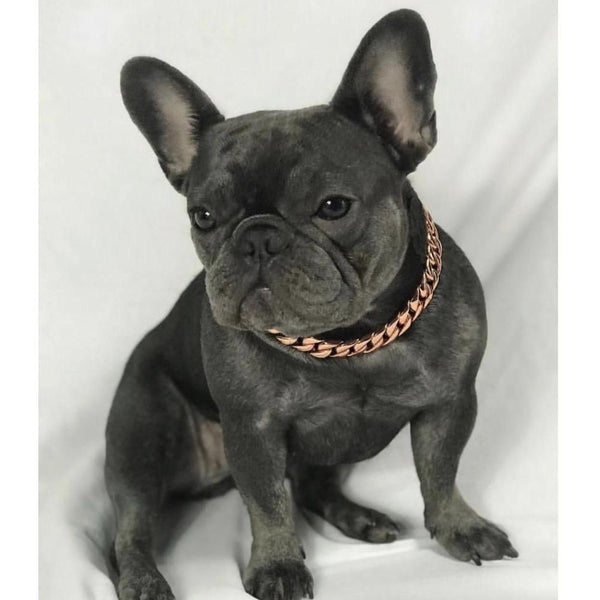 Miami Rose Cuban Link - Small Size Range | Luxury Collar - Furr Baby Gifts