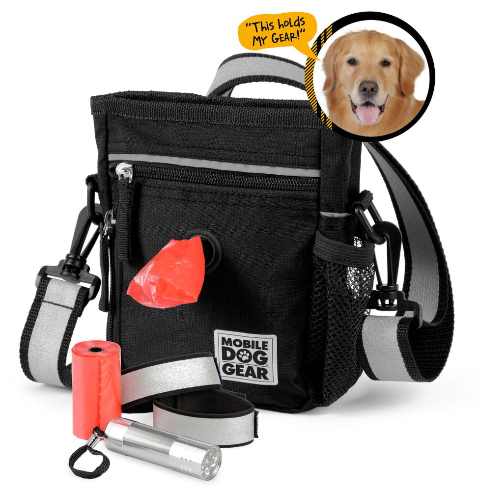 Day/Night Walking Bag (All Size Dogs) - Furr Baby Gifts