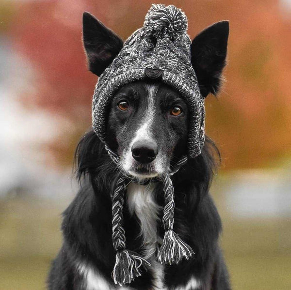 Autumn Winter Warm Knitted Pet Hats With Fluffy Ball - Furr Baby Gifts