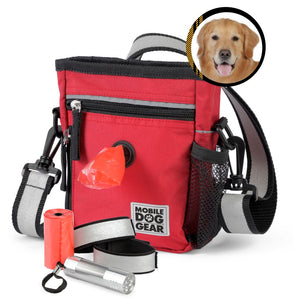 Day/Night Walking Bag (All Size Dogs) - Furr Baby Gifts
